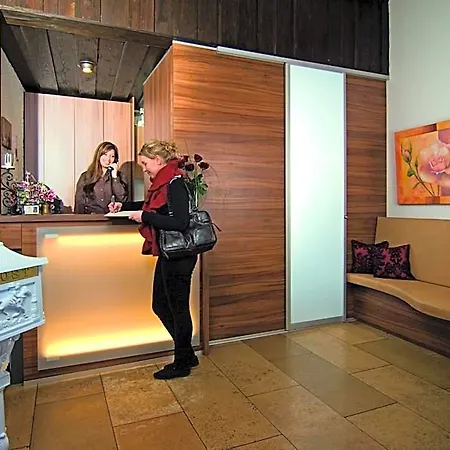 Hotel Alt 3*